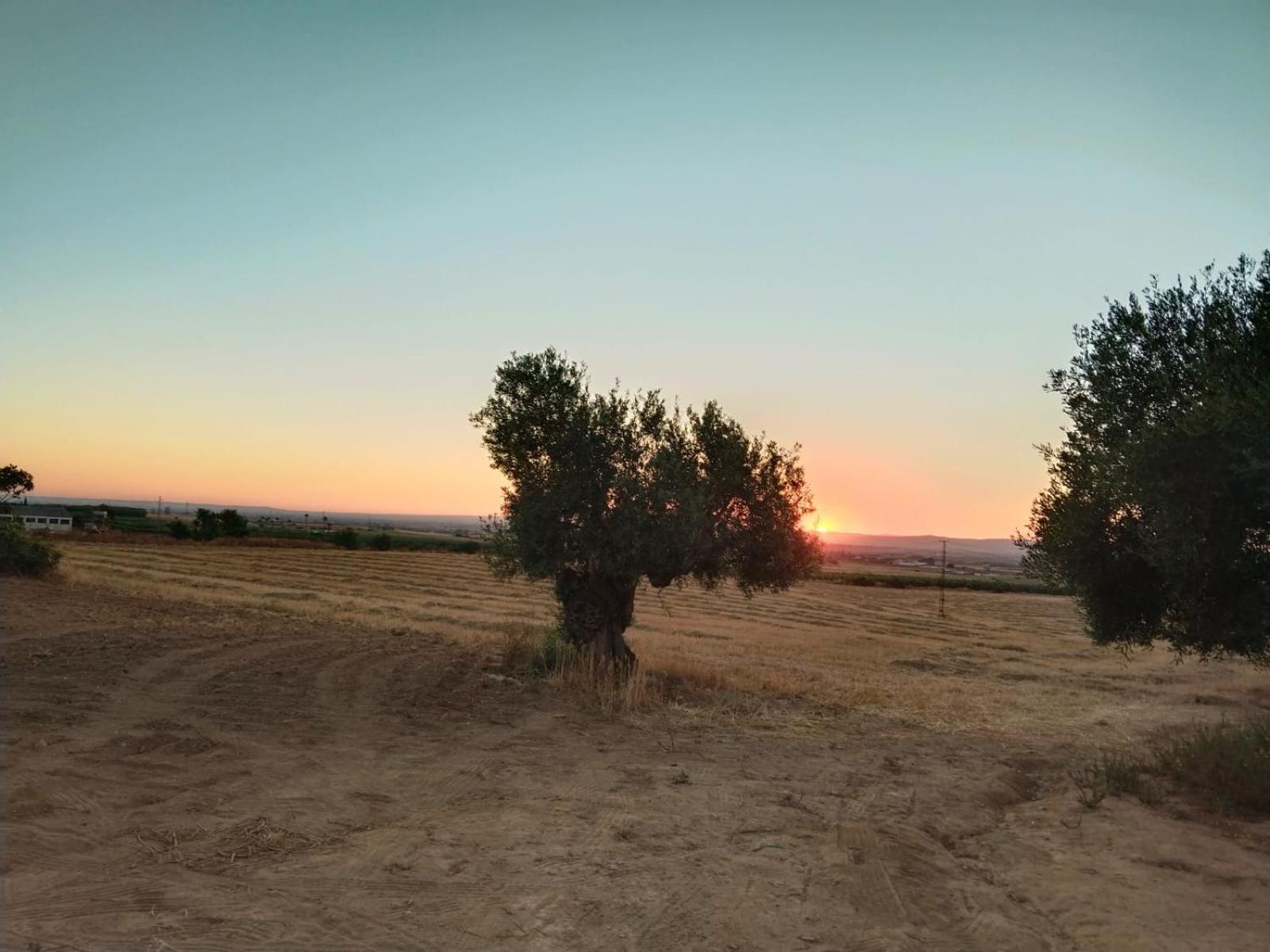 Casa Rural Cerro Campon Carmona  Exteriér fotografie